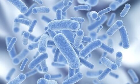 baktérie v ľudskom tele